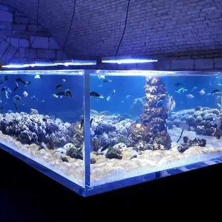 Lola App In Center, 4+1 Pax *